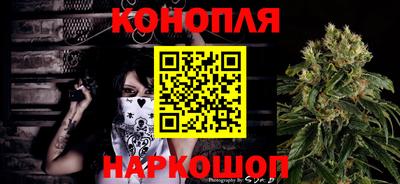 крисы Краснодар