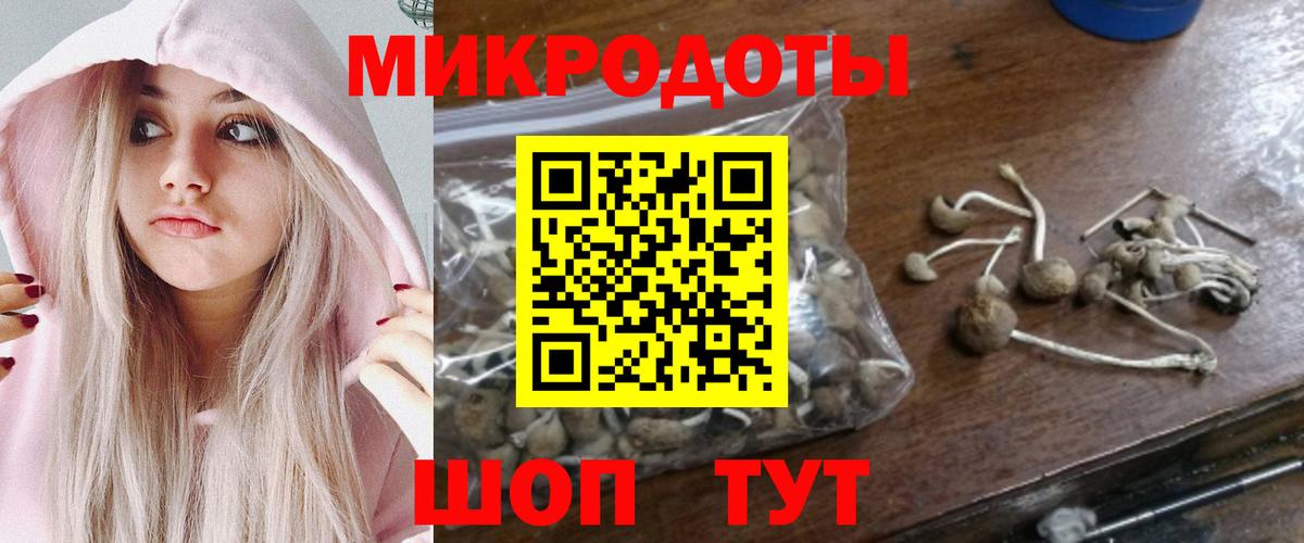 наркошоп  Вход с VPN  Дзержинский  Псилоцибиновые грибы мицелий 